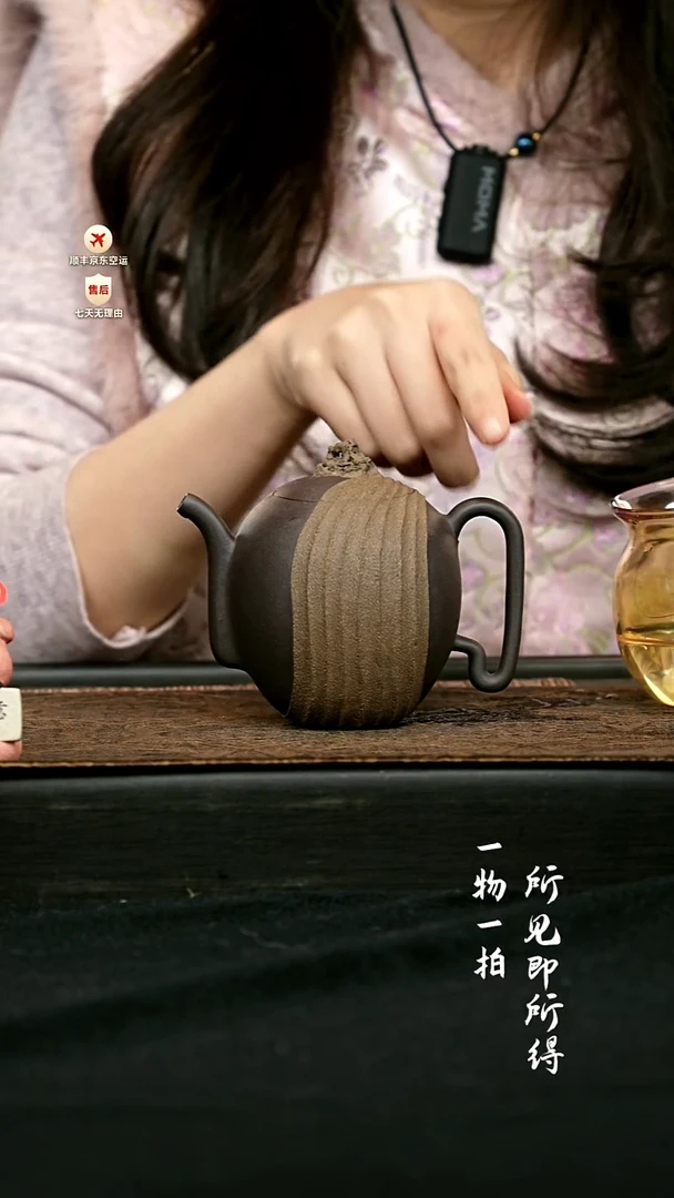 茶壶紫砂石趣壶（高） 一物见春