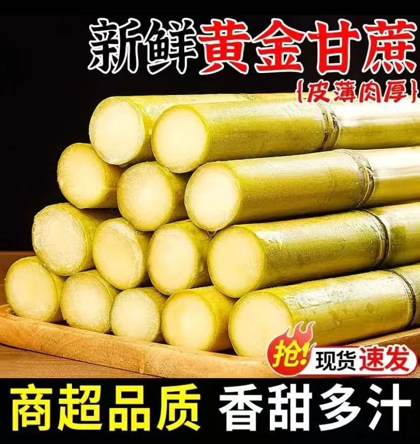 云南水果甘蔗 黄金甘蔗 原产地直发 松软脆甜zy