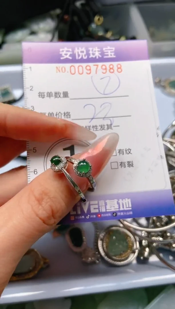 【闪购商品】翡翠颈饰未镶嵌闪购0097988