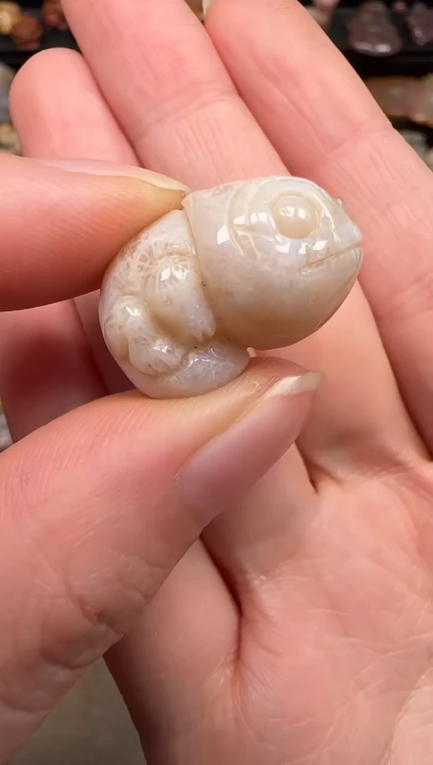 硅化珊瑚（珊瑚玉）未镶嵌颈饰267
