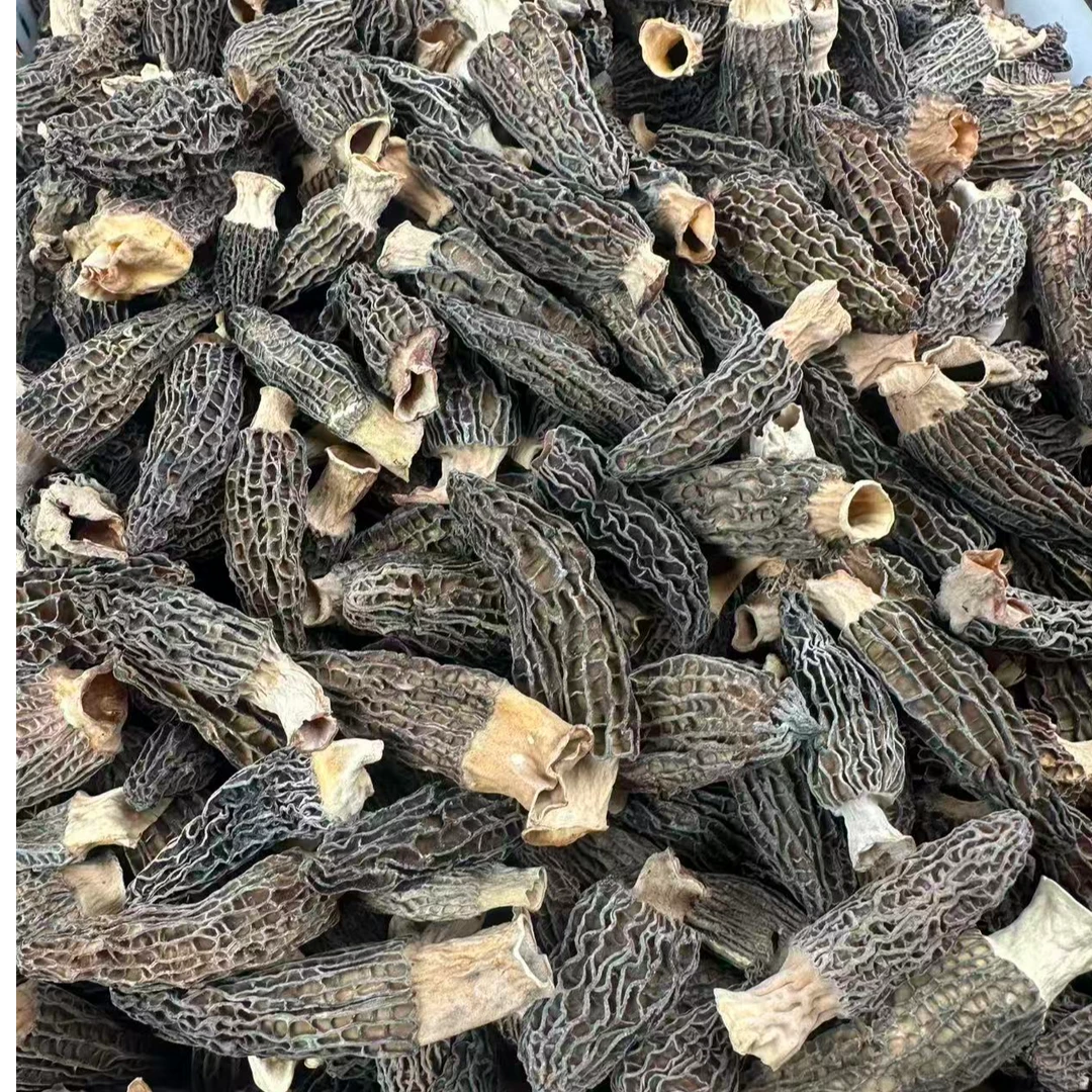 （6-8公分）云南高山特级羊肚菌干货肉厚头茬香味足滋补炖汤佳品