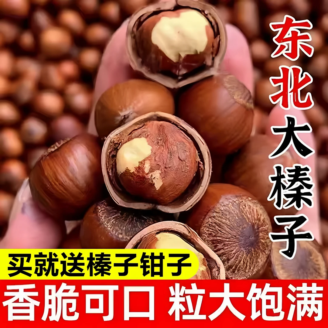 2025年新货东北大果榛子炒熟不开口