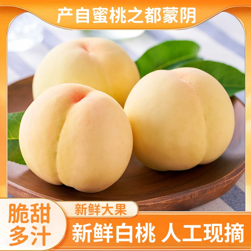 山东蒙阴正宗白如玉白桃脆甜爽口纯甜无酸爽口水蜜桃新鲜现摘现发
