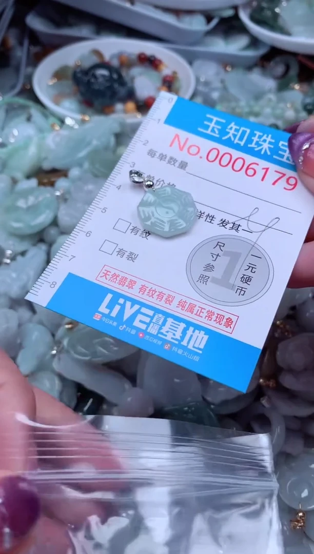 翡翠未镶嵌吊坠(不含链)179