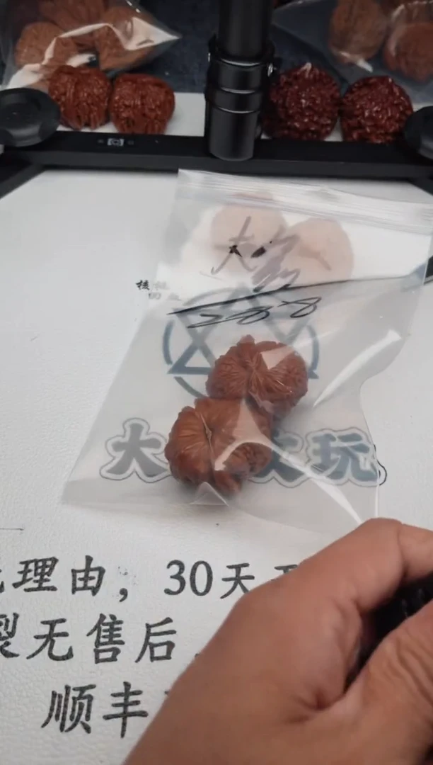 文玩核桃把件核****》0630-万宝路-大鑫