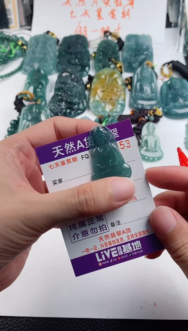 颈饰未镶嵌翡翠  多样性随机一件发货 素衣观音29.9