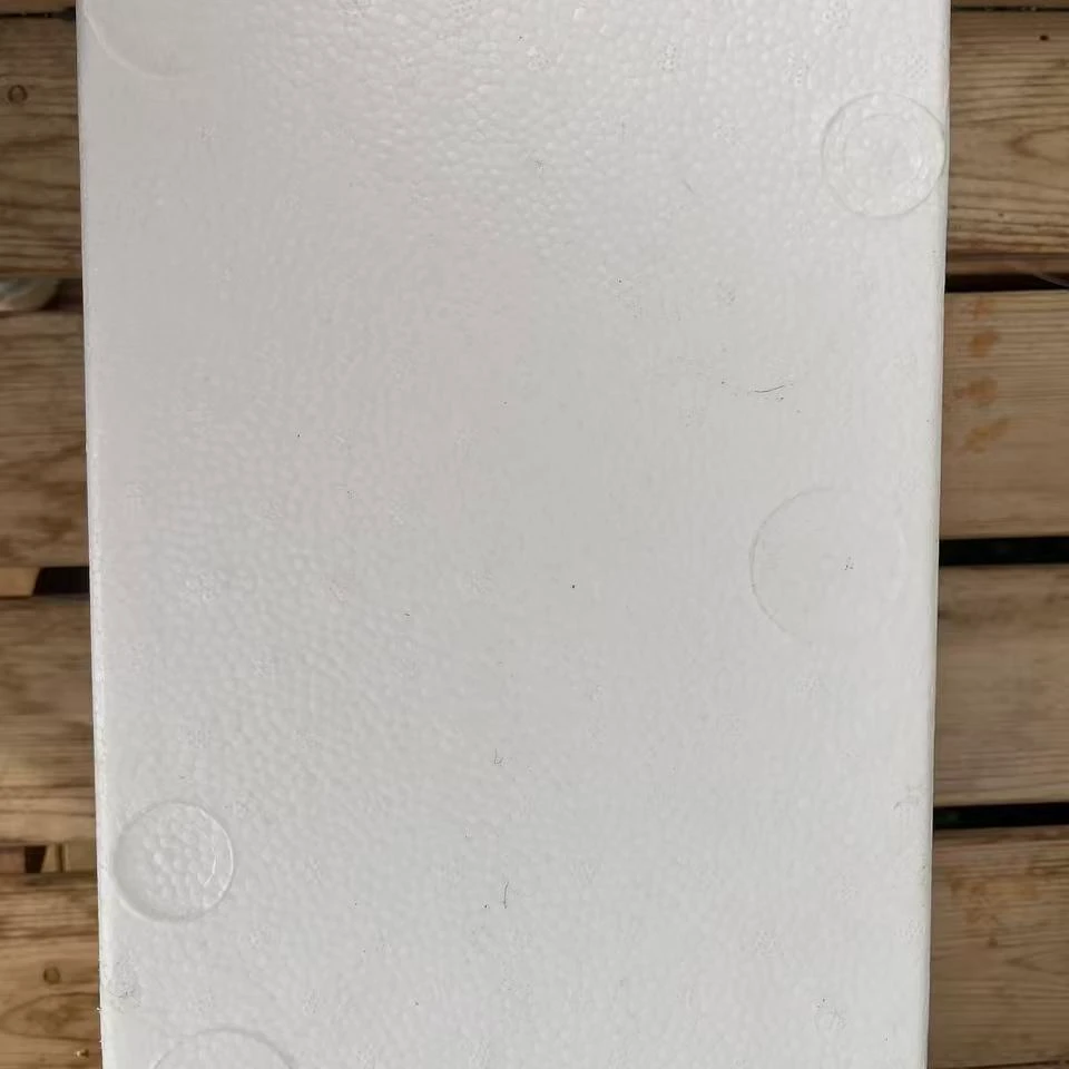 多肉保温箱0度以下地区要拍！不拍坏了不售后