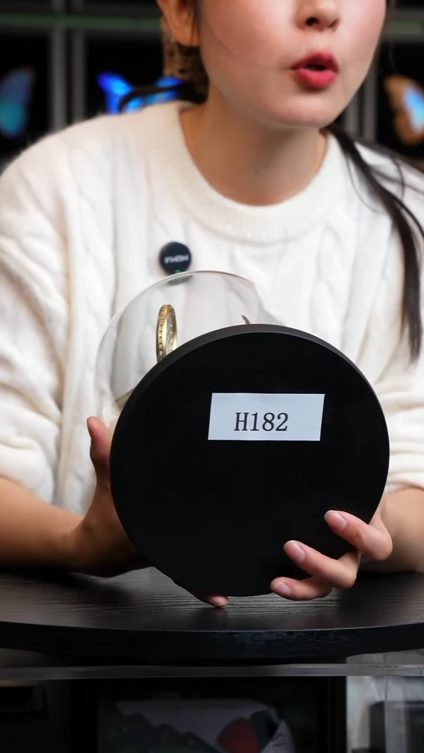 动物标本摆件竞拍H182
