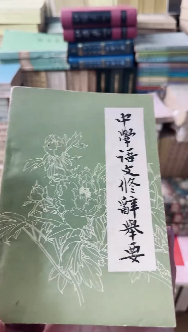 0***8中学语文修辞