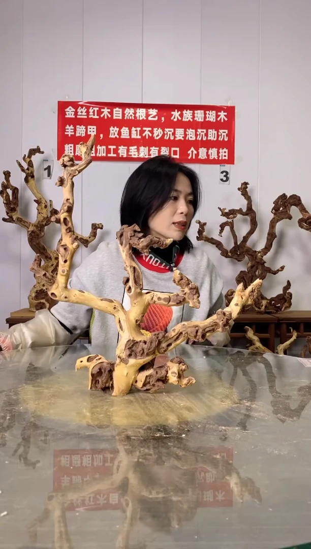 【闪购商品】木22金丝红木 羊蹄甲