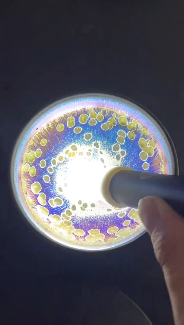 茶盏徐长和老师高端作品