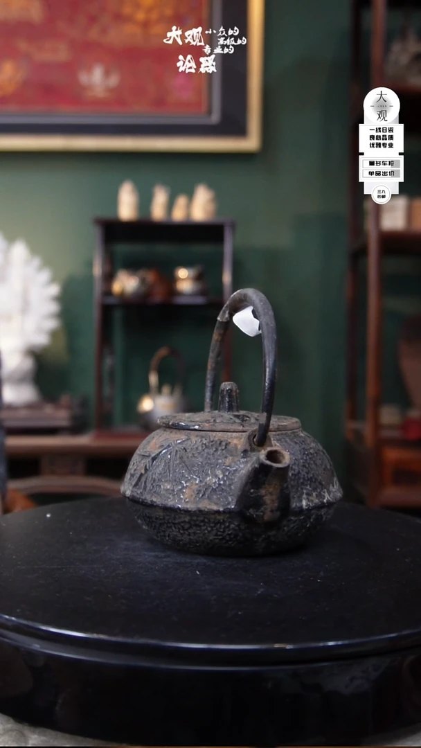 瓷片大观论器铁壶