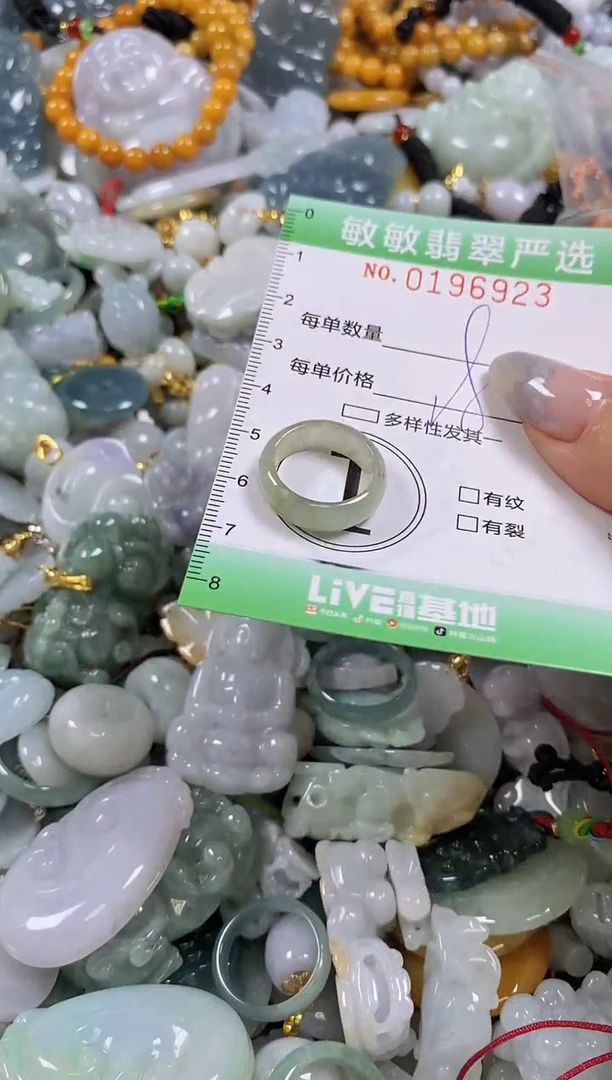 翡翠未镶嵌颈饰闪购0196923
