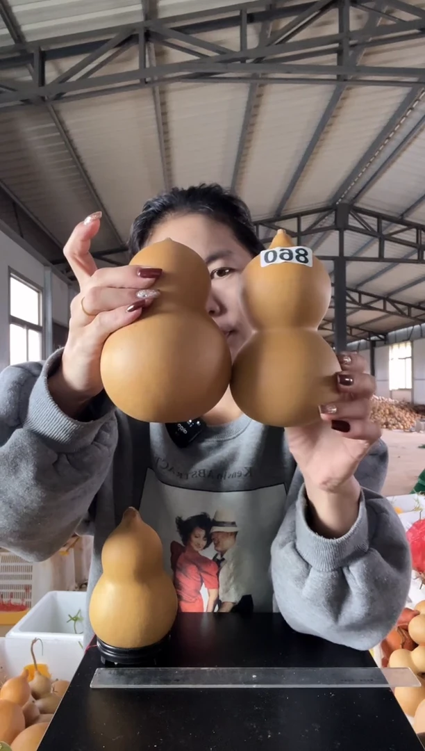 T****e860天然葫芦摆件 一物一拍龙头不保售后两个有瑕疵