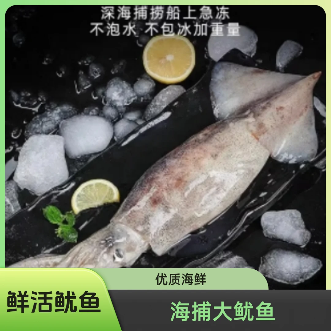 大鱿鱼鲜活冷冻新鲜鱿鱼整只鱿鱼须章鱼足火锅烧烤食材
