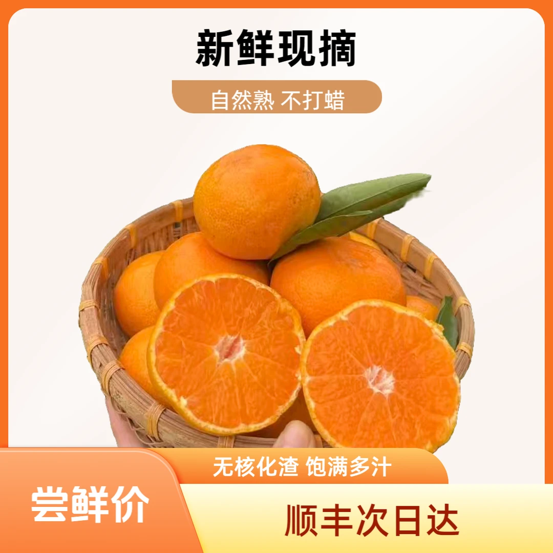 【顺丰次日达】浙江正宗临海涌泉蜜桔橘子无核化渣尝鲜装产地直发橘子浙江省