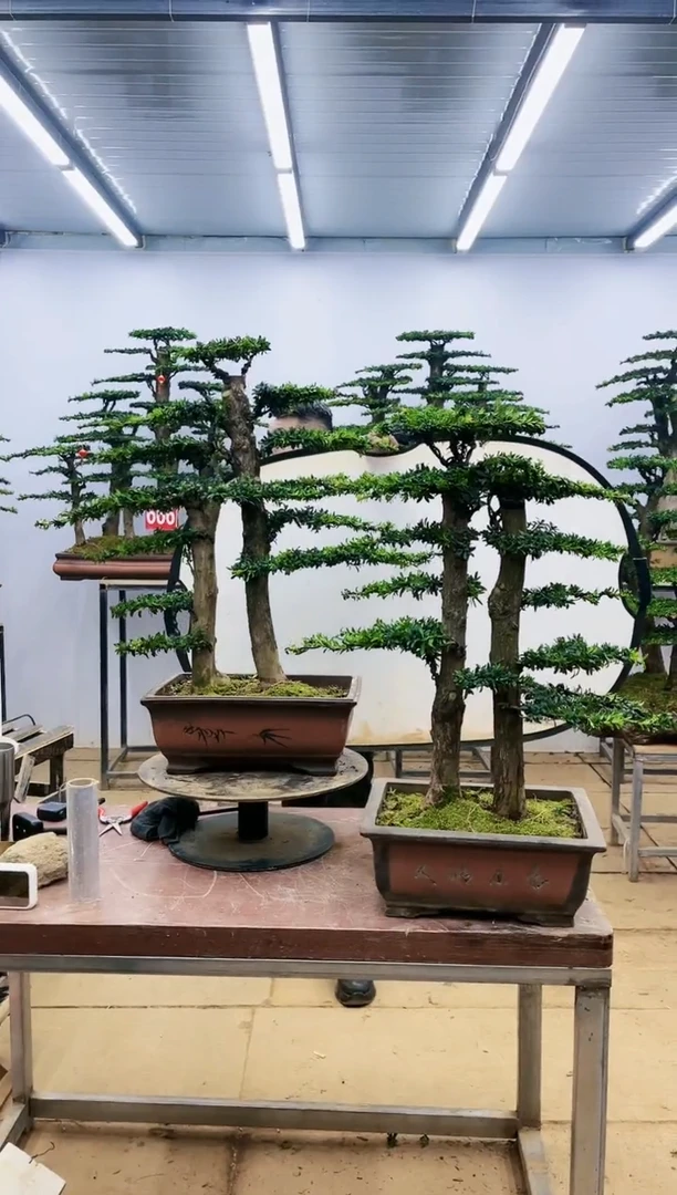 【闪购商品】一物一拍，所见即所得