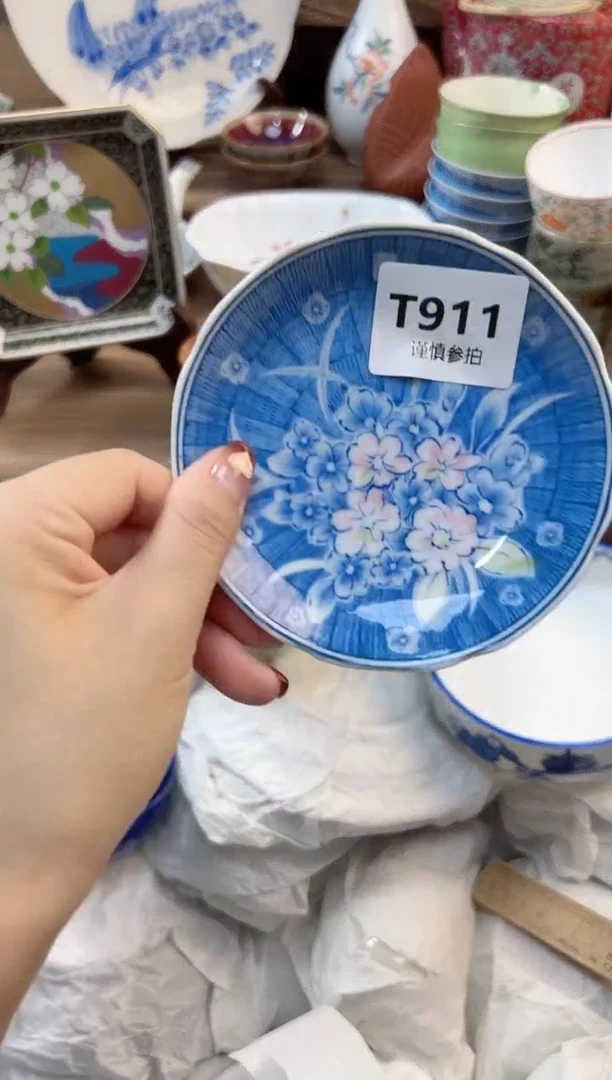 瓷片        911