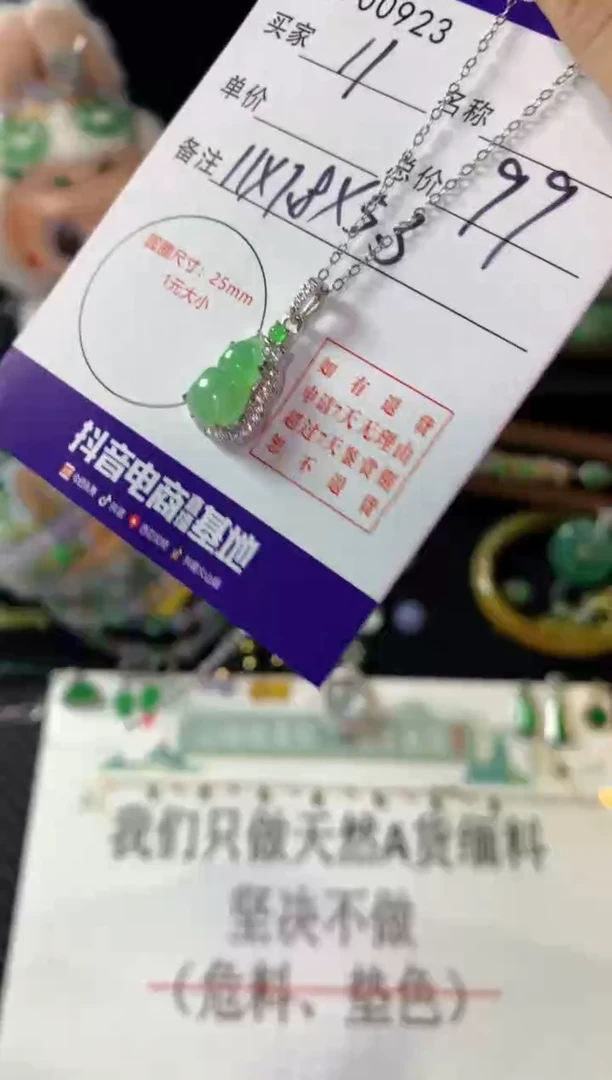 翡翠银S925镶嵌颈饰翡翠