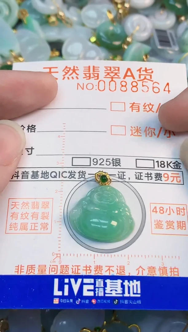 翡翠未镶嵌吊坠(不含链)1