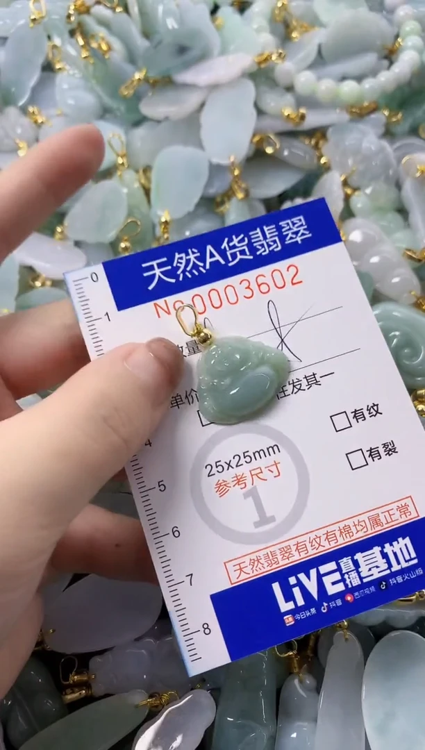 颈饰未镶嵌翡翠天然A货翡翠