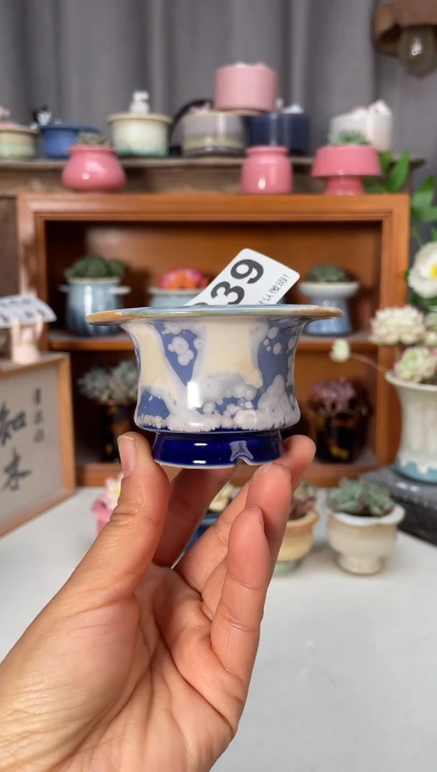 瓷片339小芳直播编号