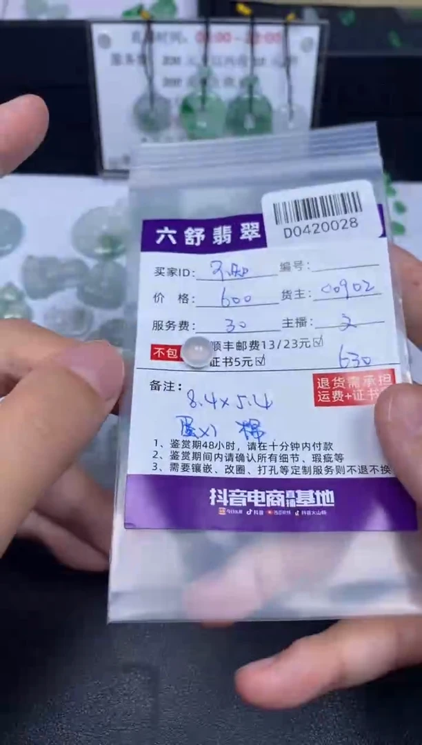 翡翠未镶嵌吊坠(不含链)D0420028