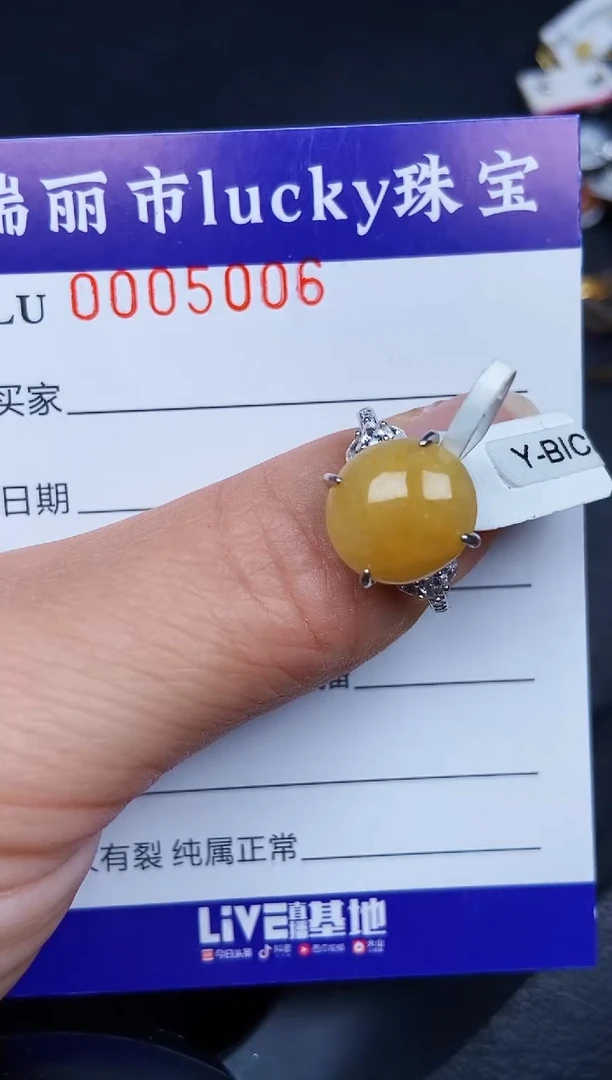翡翠银S925镶嵌颈饰5006