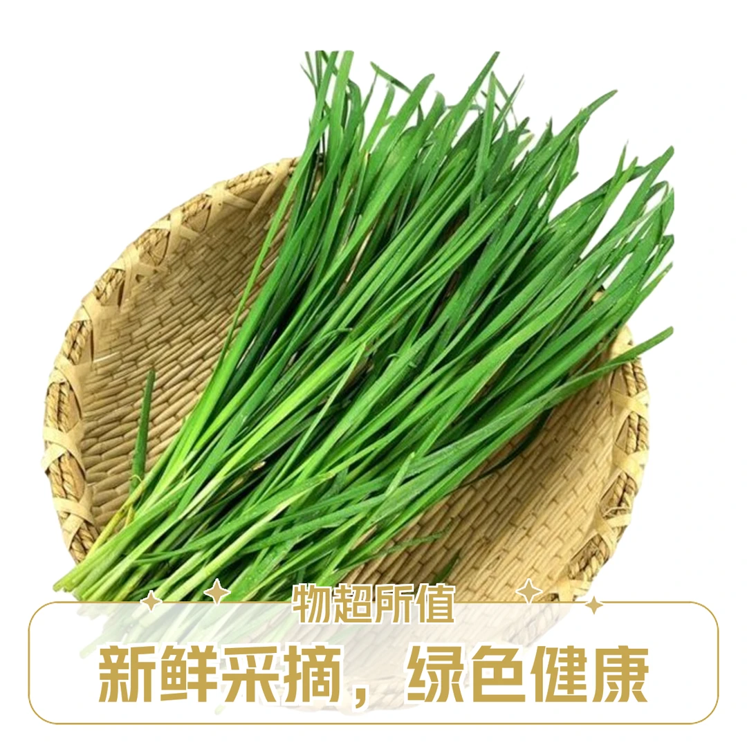 韭菜约 500g【好东西】