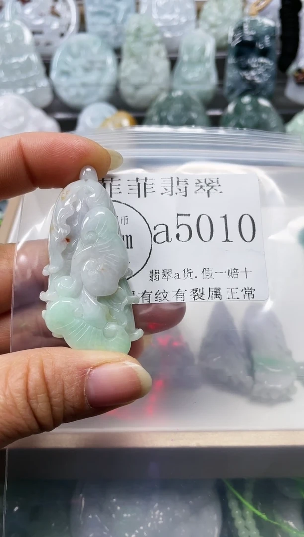 【闪购商品】翡翠颈饰未镶嵌闪购5010