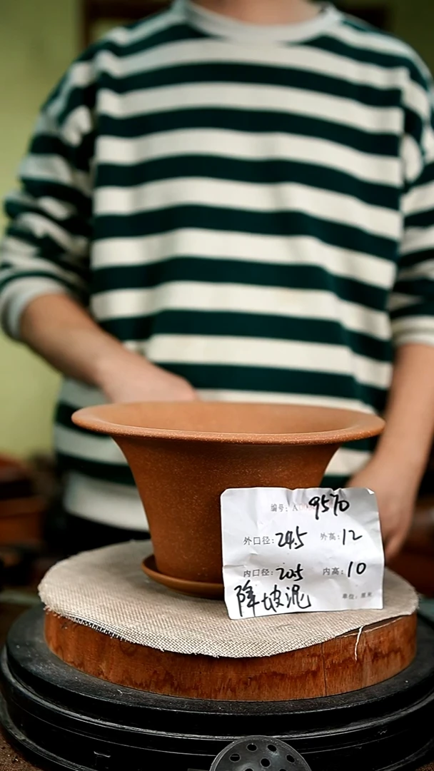 紫砂花盆花卉园艺9570+z