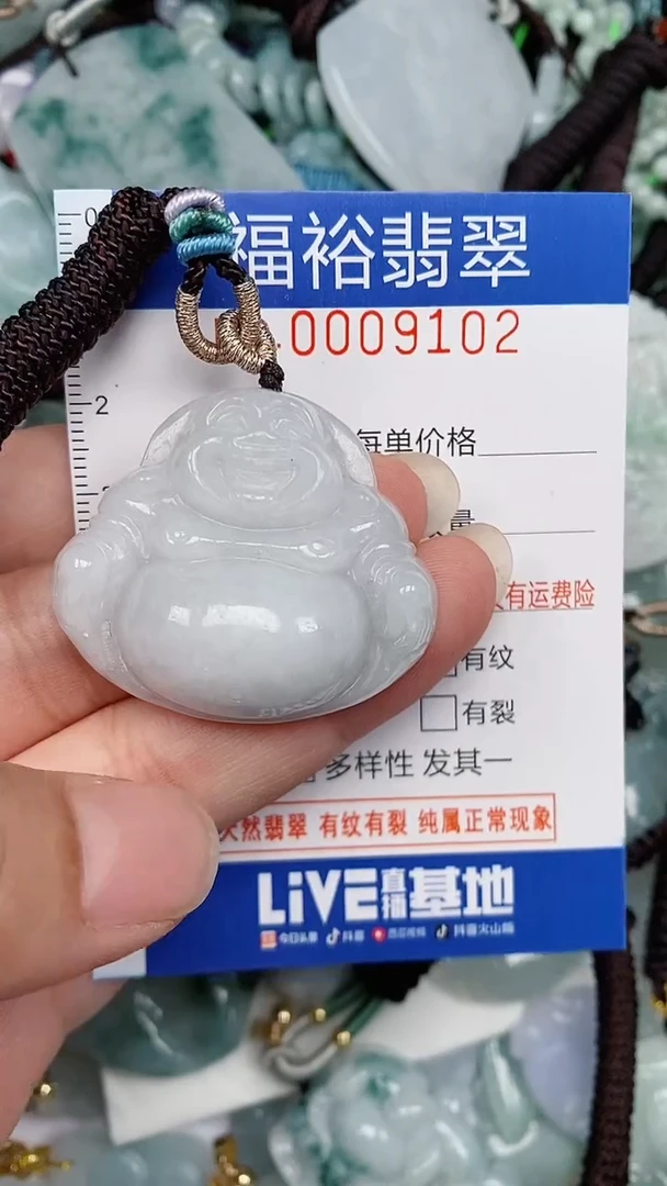 翡翠未镶嵌颈饰...0009102
