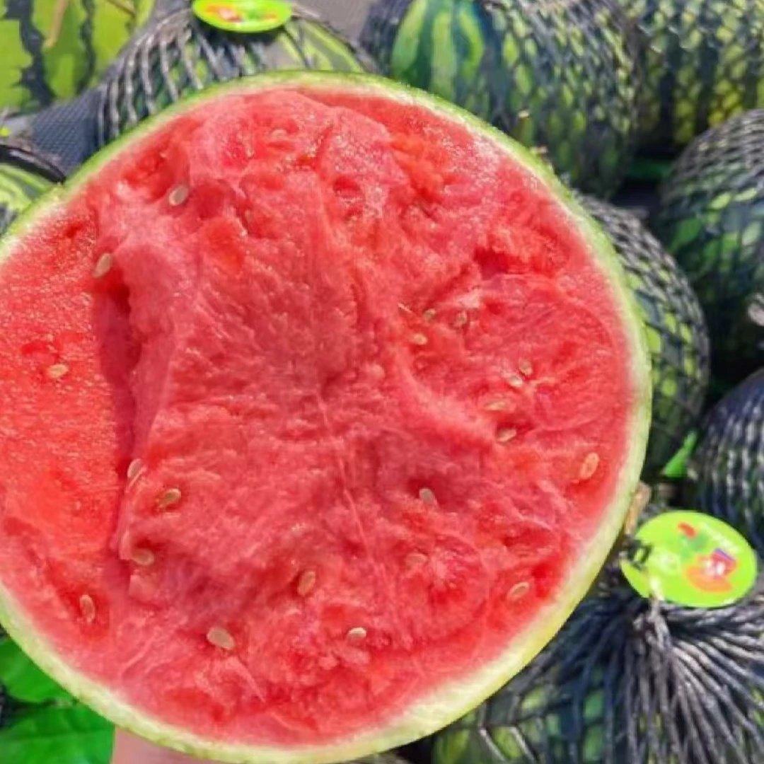 【两个6-7斤】海南无籽麒麟瓜 脆甜 售后无忧