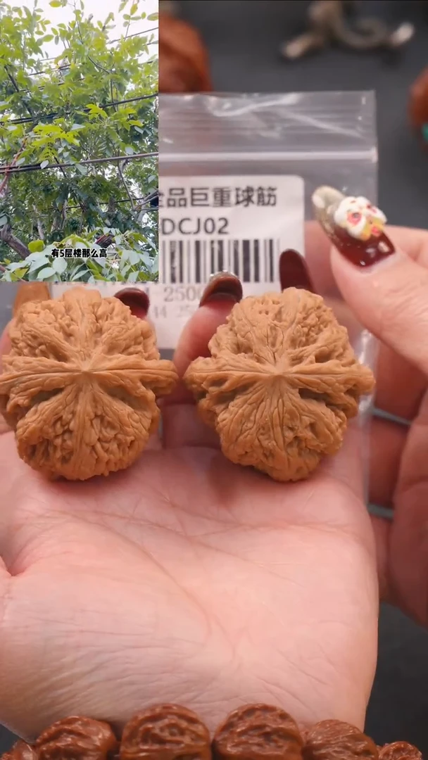 【闪购商品】文玩核桃把件44平谷粗筋（全品）