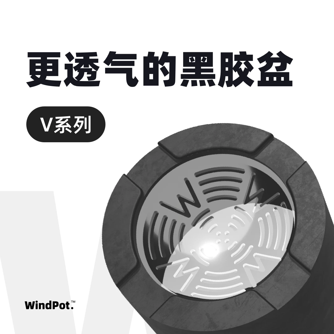黑胶盆树脂花盆仙人球块根花盆碗盆透气日式简约花盆