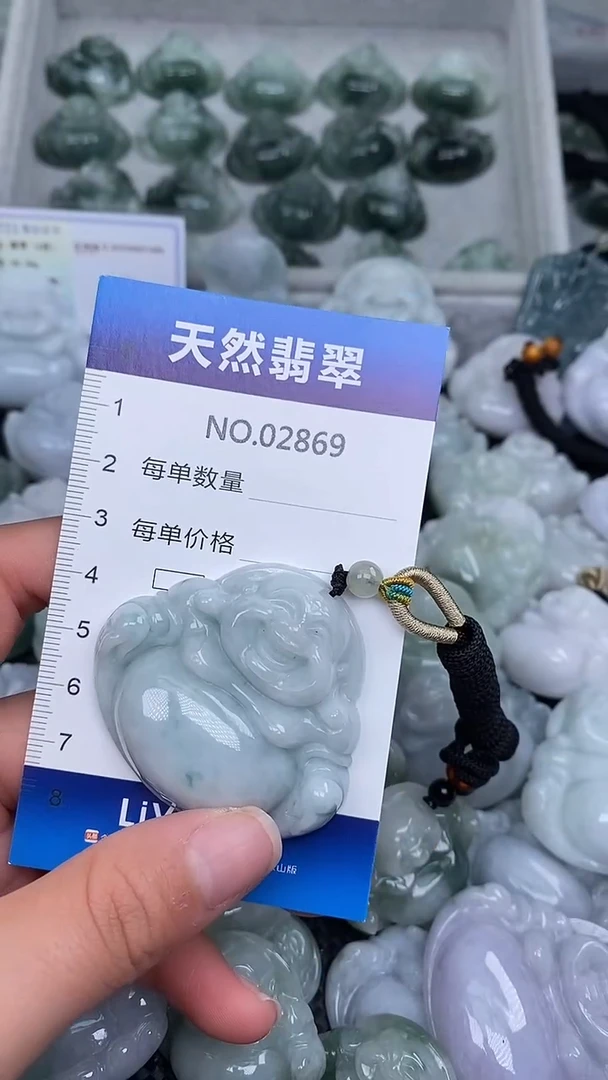 颈饰未镶嵌翡翠纯天然A货翡翠2869