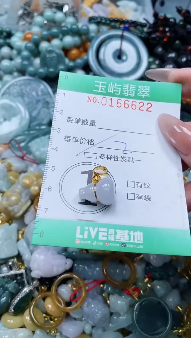 翡翠未镶嵌颈饰闪购0166622多样性发其一