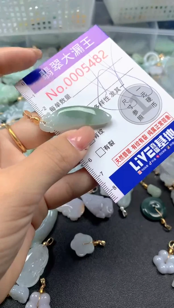 颈饰未镶嵌翡翠5482