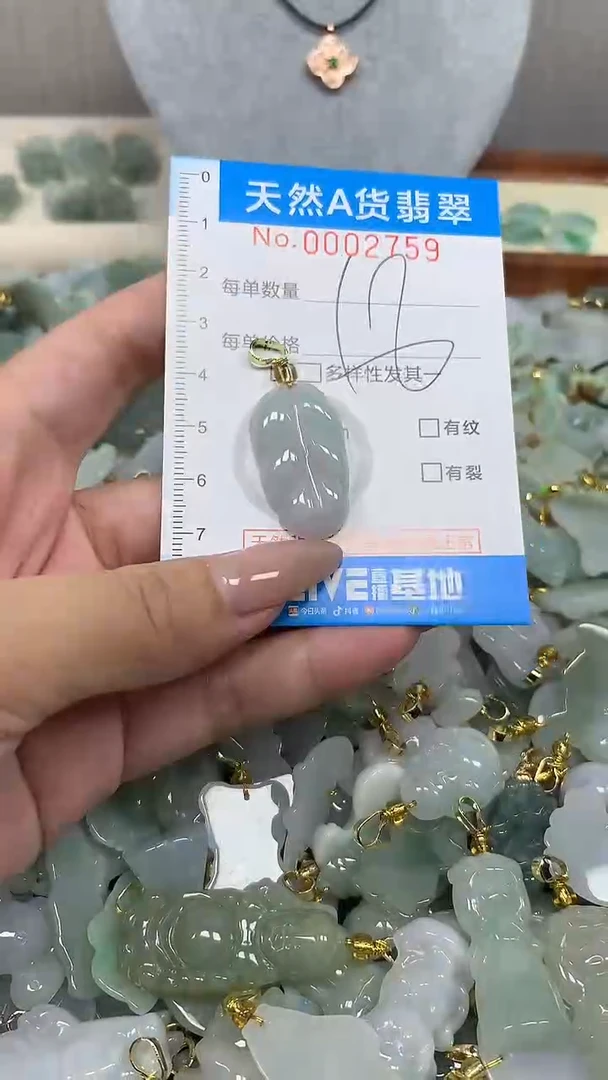 翡翠未镶嵌颈饰净货挂件-2759