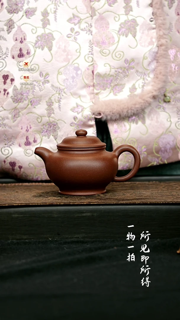 茶壶紫砂阿*掇只壶 一物见春