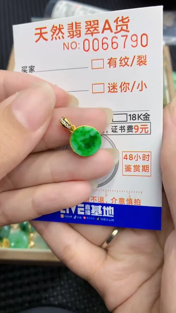 【闪购商品】翡翠颈饰银S925镶嵌            8