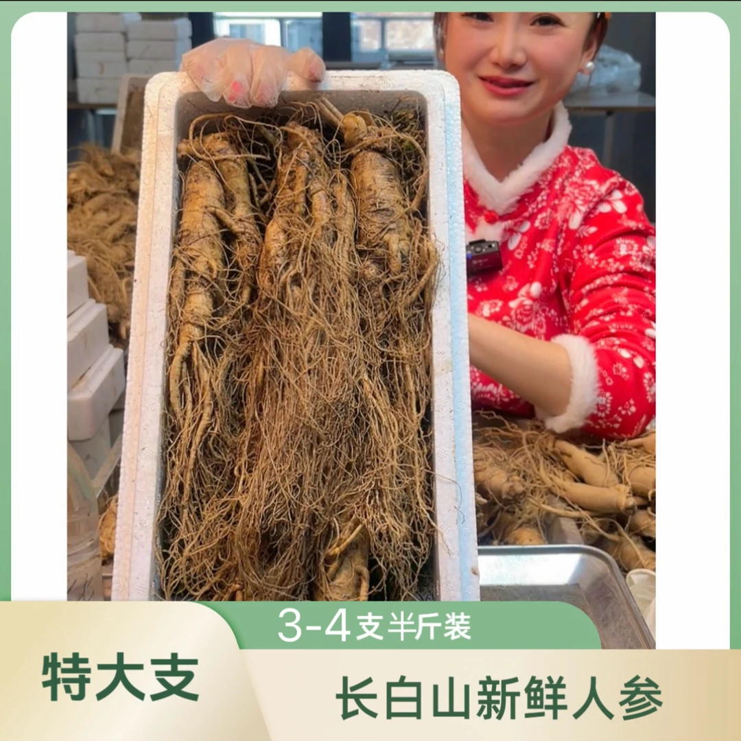 长白山新鲜人参泡酒精品大人参（6-8支）一斤