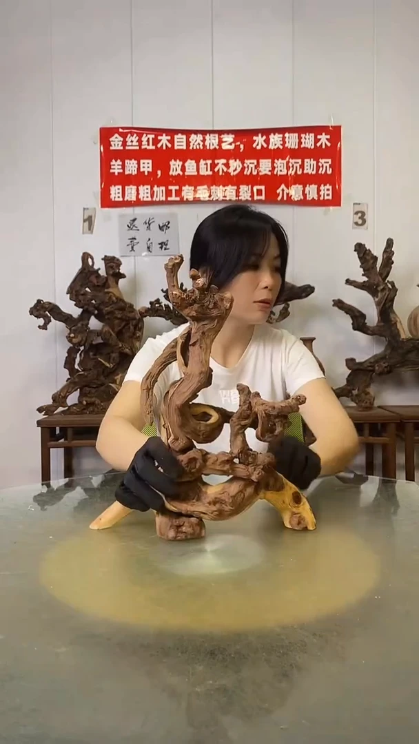 香榧木时**阳金丝红木   羊蹄甲