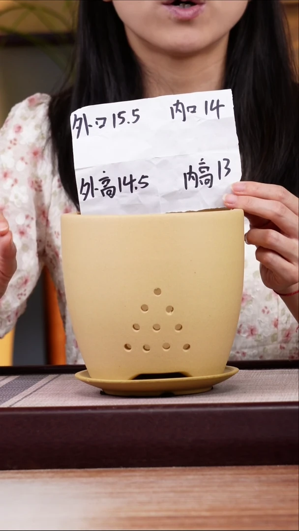 紫砂花盆段泥素面君子兰2号一只带托