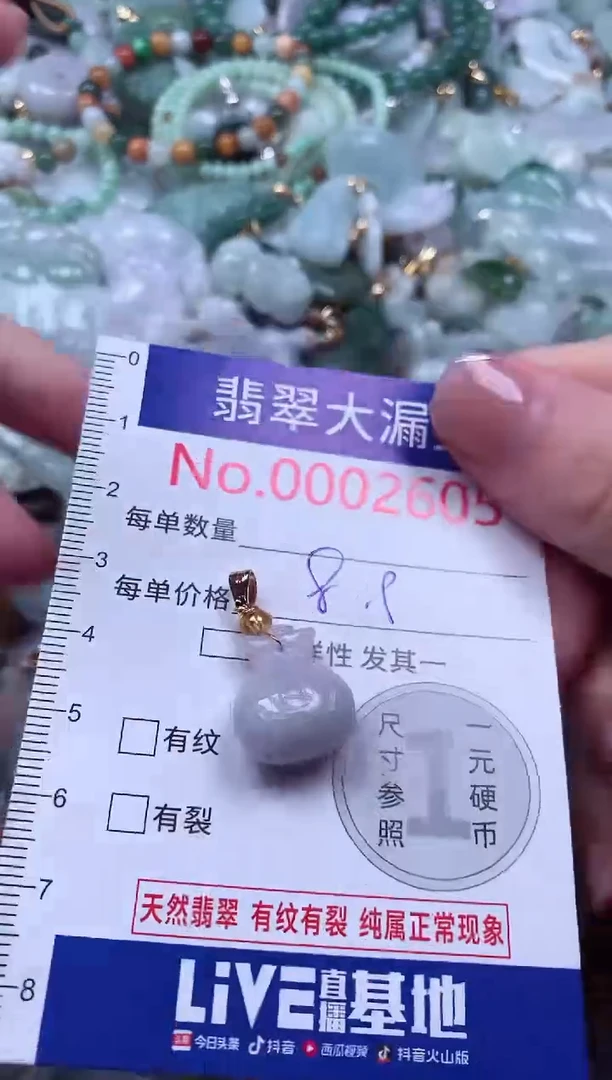 颈饰未镶嵌翡翠2605