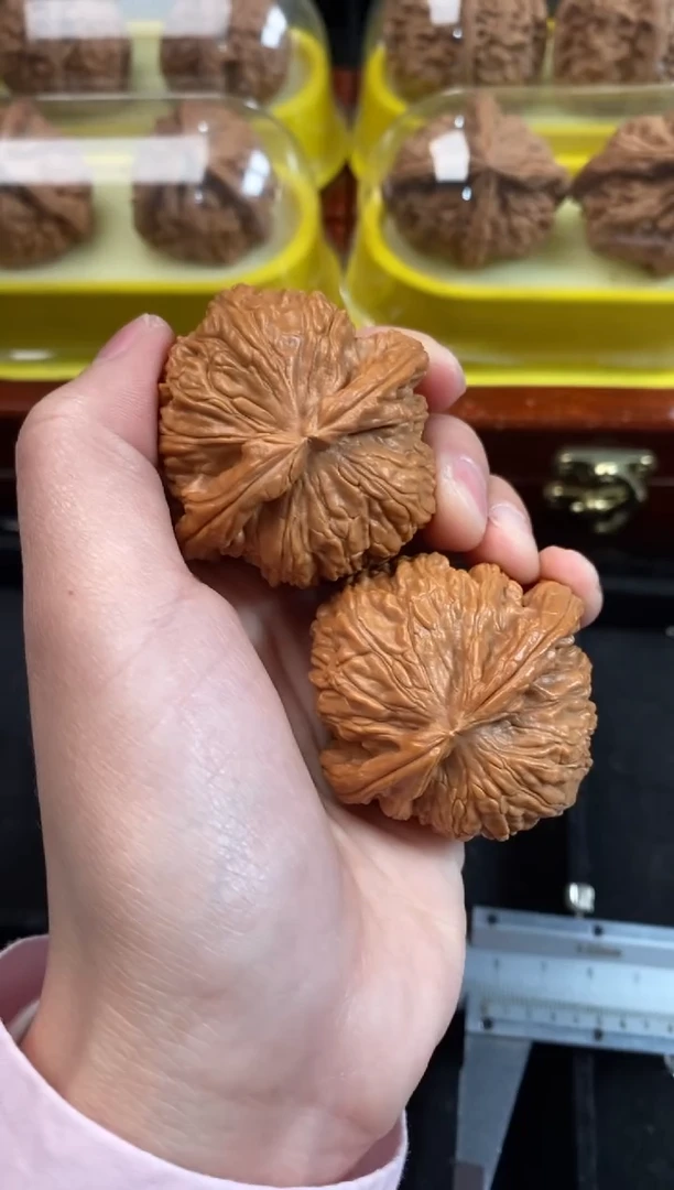 把件文玩核桃白狮子45尺Q494