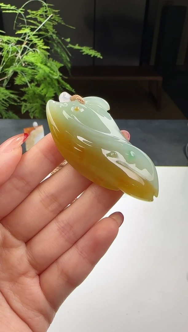 翡翠未镶嵌颈饰【鑫鑫】