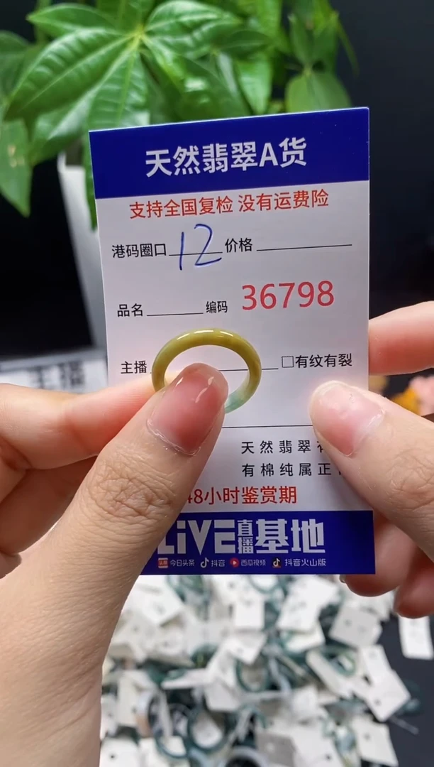 翡翠戒指未镶嵌天然翡翠戒圈6798