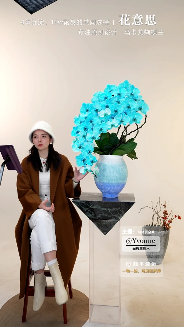 全部花朵015一物一拍蝴蝶兰艺术盆景