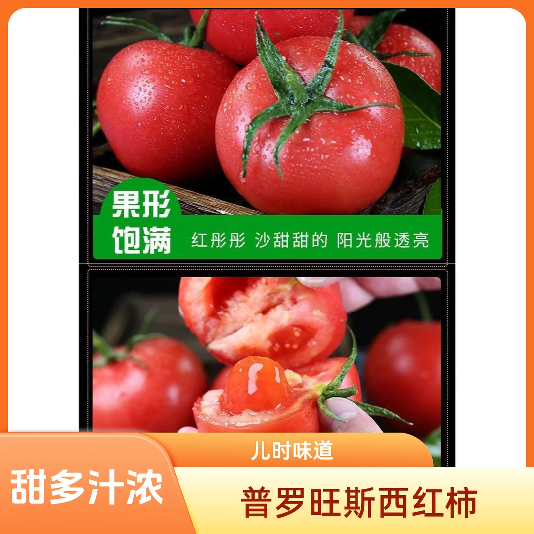 水果西红柿(普罗旺斯）儿时味道香甜浓郁饱满多汁5斤左右